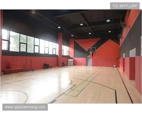 广州排球队的节奏揭秘：感受排球巨献的魅力与激情